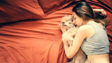 Health Risks Of Sleeping With Pets