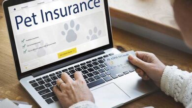 Pet Needs Medical Insurance