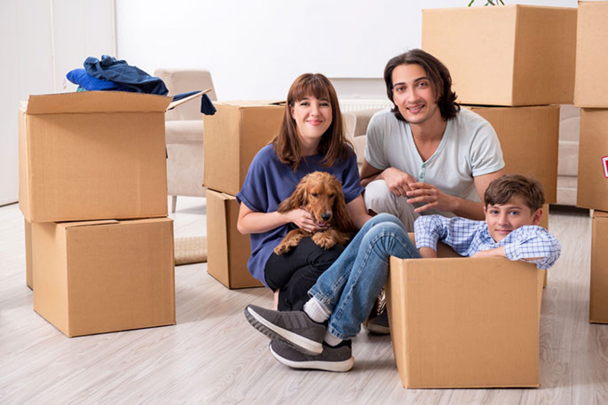 International Pet Movers in Singapore | Steps to Take While Getting Ready