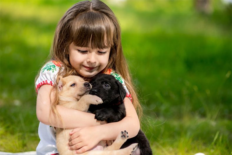 Kids and Pets Get Along