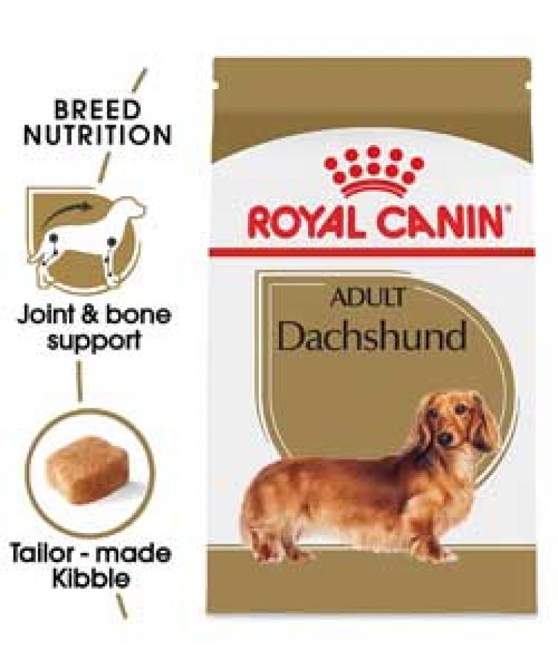 10 Best Dog Food For Dachshunds