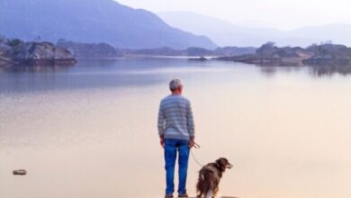 Dog Caretaking Tips for Seniors