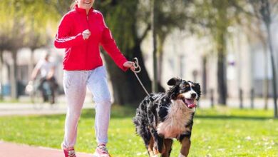 Running With Your Dog