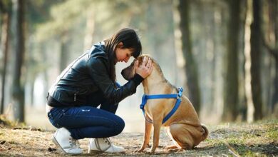 Want Your Dog To Be Your Best Friend