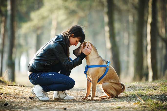 Want Your Dog To Be Your Best Friend? Here Are Some Proven Tricks That ...