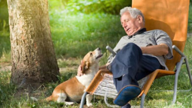 Why Dogs Are Great for Retirees