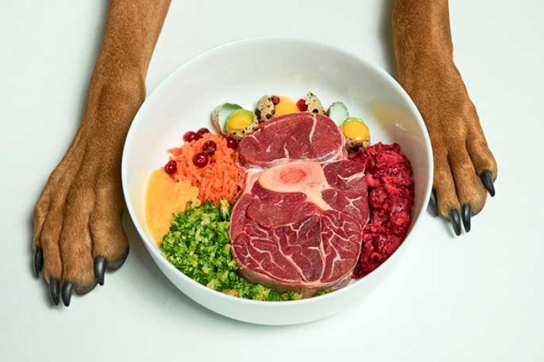 can dogs eat raw meat