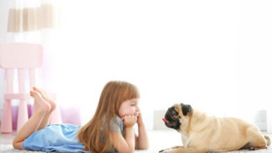 why kids should have pets