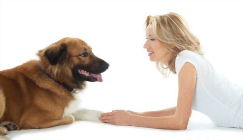 Understanding Dog Talk and Canine Communication