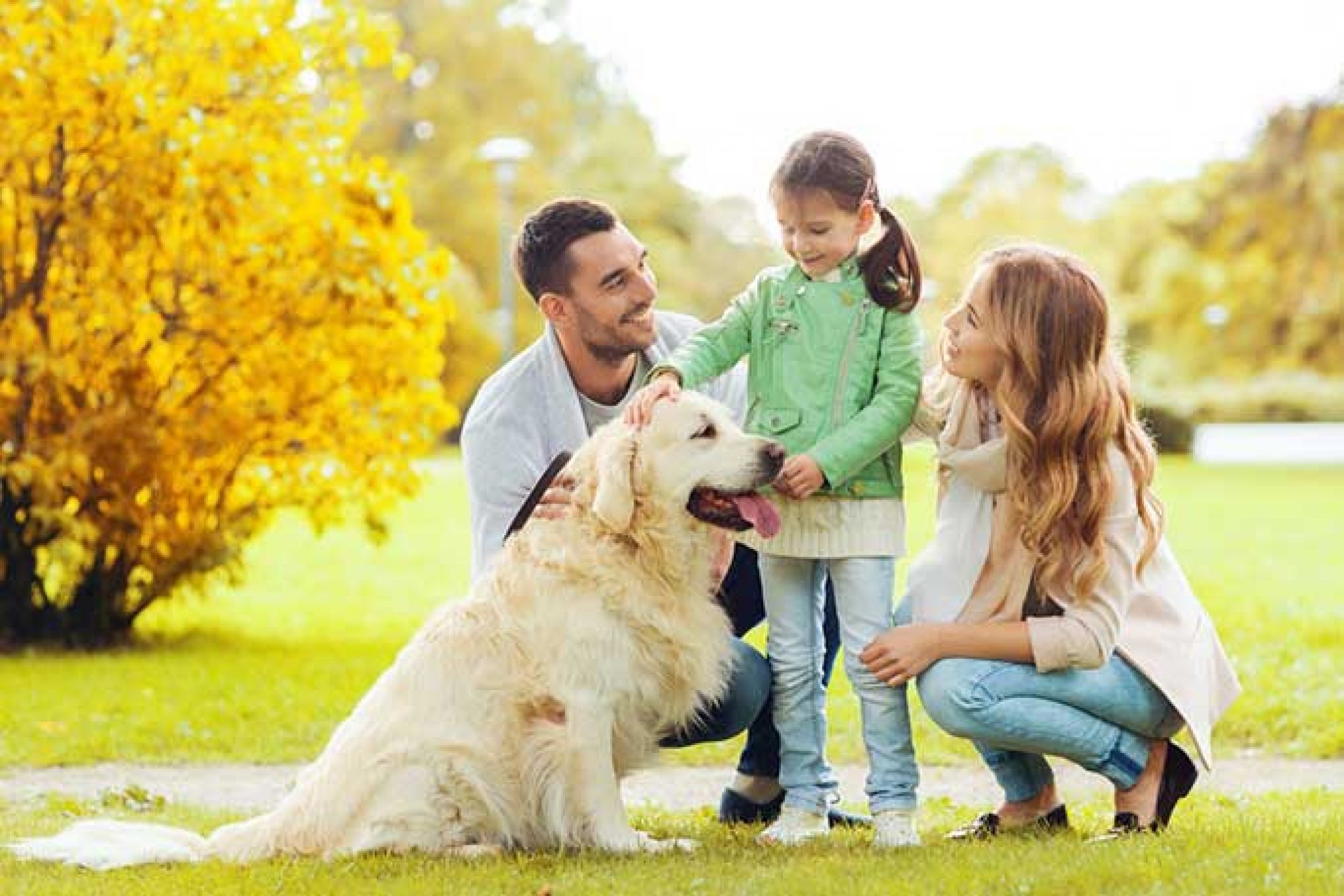 the-5-best-dog-breeds-for-families