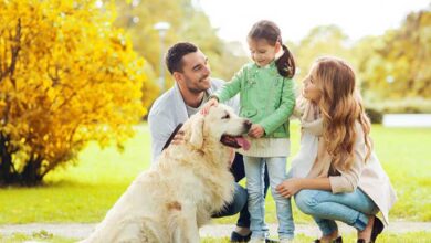 Best Dog Breeds for Families