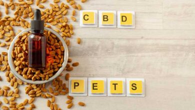 CBD Oil and Your Pets