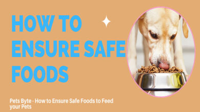 Pets Byte - How to Ensure Safe Foods to Feed your Pets