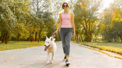 Tips For Making Life Easier For You And Your Dog