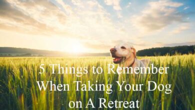 5 Things to Remember When Taking Your Dog on A Retreat