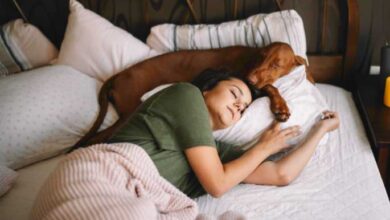 sharing bed with a dog