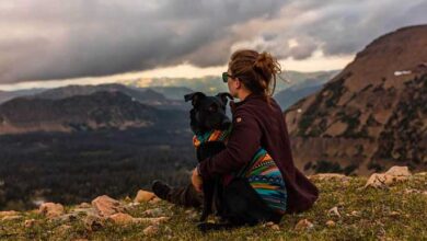 Dogs Love These Travel Places In The USA