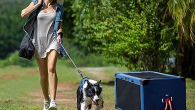 Soft Sided Collapsible Dog Crates