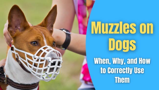 Muzzles on Dogs