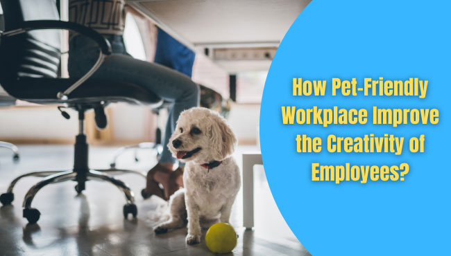 Pet-Friendly Workplace