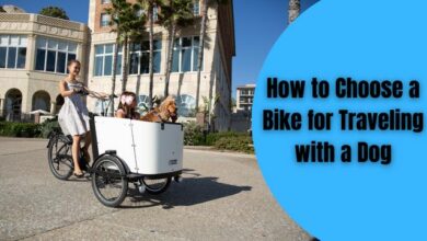 How to Choose a Bike for Traveling with a Dog