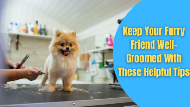 Dog grooming