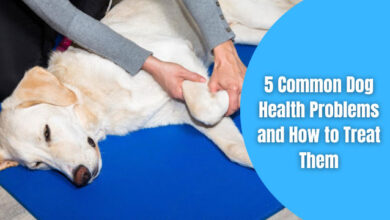 common health problems in dogs