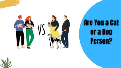 Are You a Cat or a Dog Person?