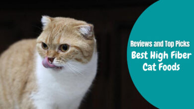 Best High Fiber Cat Foods