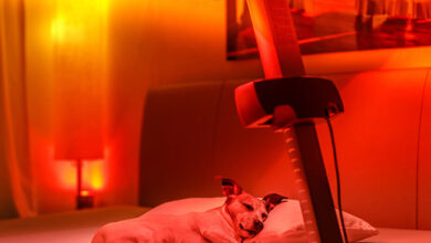 red light therapy for dogs