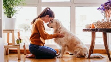 facts to consider When Building a Pet-First Home