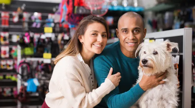 what to look for when buying a dog