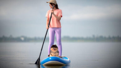 how to take your dog kayaking