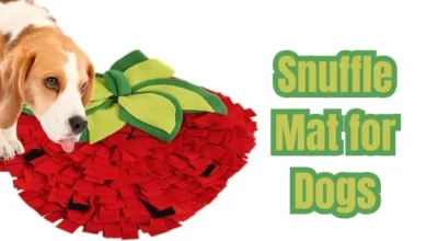 Snuffle Mat for Dogs