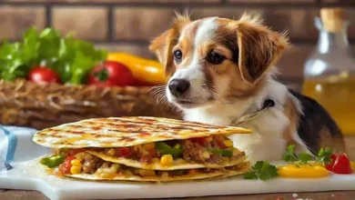 Can dogs eat quesadillas