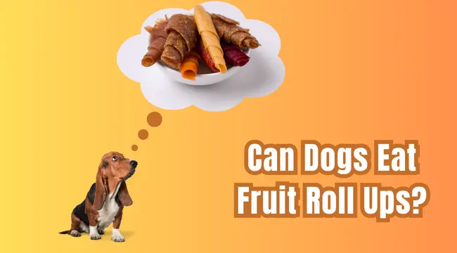 Can Dogs Eat Fruit Roll Ups?