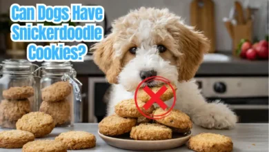 Can Dogs Eat Snickerdoodle Cookies?