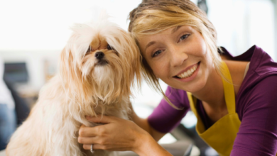 sustainable pet care tips