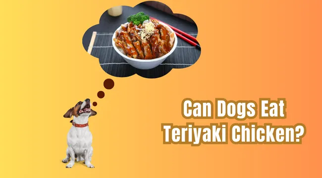 Can Dogs Eat Teriyaki Chicken?