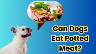 Can Dogs Eat Potted Meat