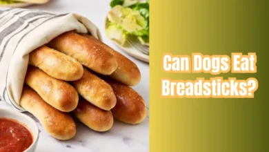 Can Dogs Eat Breadsticks?