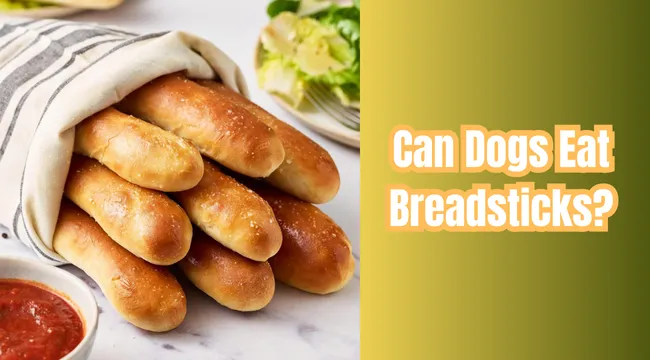 Can Dogs Eat Breadsticks?