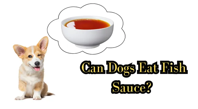 Can Dogs Eat Fish Sauce