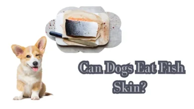 Can Dogs Eat Fish Skin? Benefits and Risks Revealed!