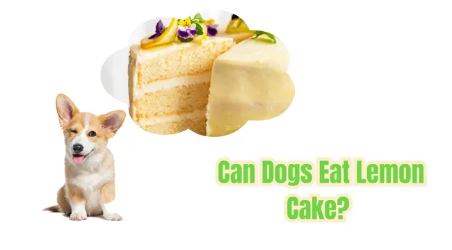 Can Dogs Eat Lemon Cake