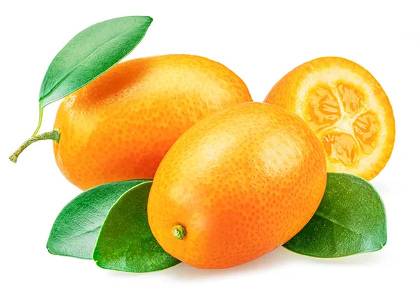 What Is a Kumquat