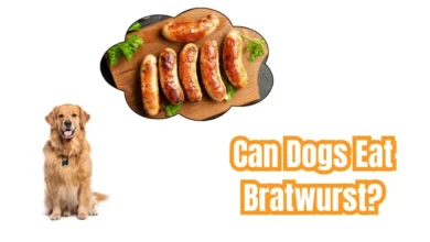 Can Dogs Eat Bratwurst?