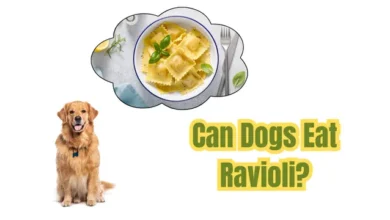 Can Dogs Eat Ravioli
