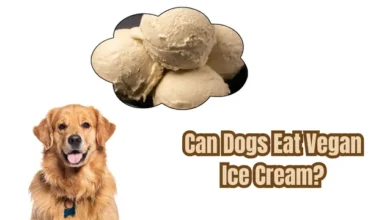 Can Dogs Eat Vegan Ice Cream?