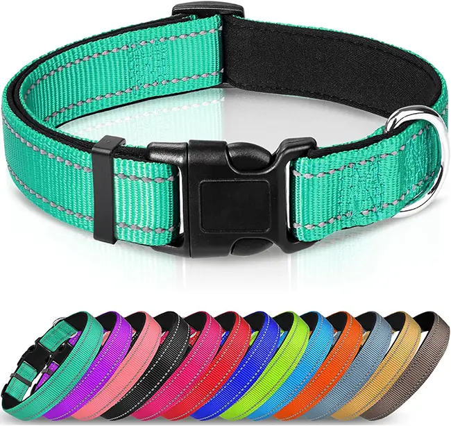 Joytale Adjustable Reflective Dog Collar